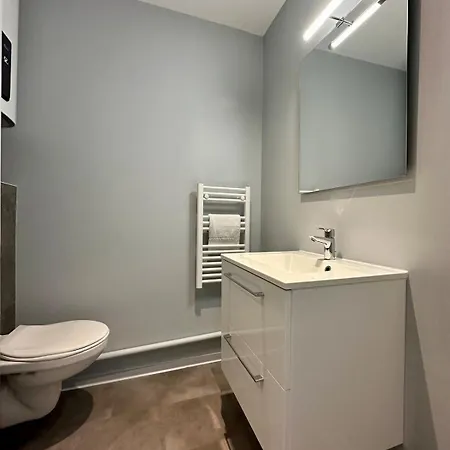 Apartment 73 Renove Et Equipe - Nancy Chru,cesi,fac *